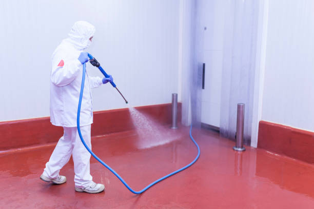 Best Rust and Stain Removal in Como, MS